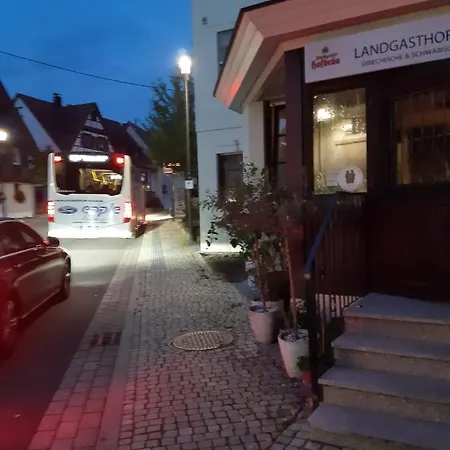 玫瑰旅馆 迪琴根