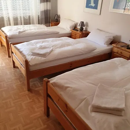 玫瑰旅馆 招待所