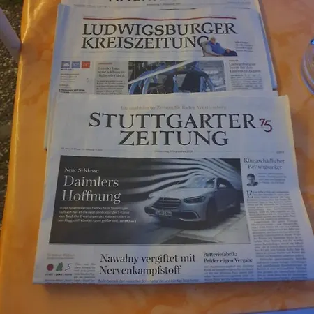 玫瑰旅馆 * 迪琴根