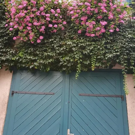 بيت ضيافة Landgasthof Rose